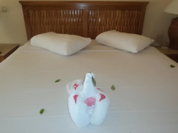 О плюсах и минусах отеля Royal Grand Sharm