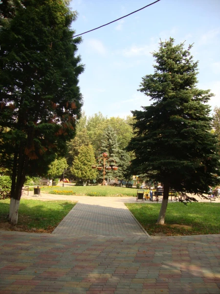 г.Пушкино. Городской парк отдыха