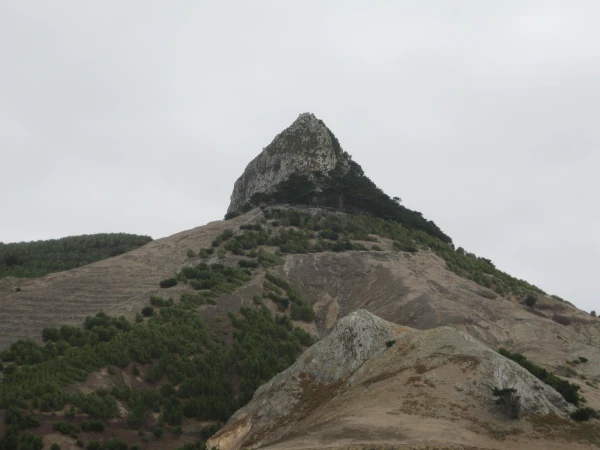 Pico Juliana