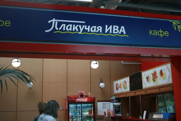 Терминал С "Оригинально"
