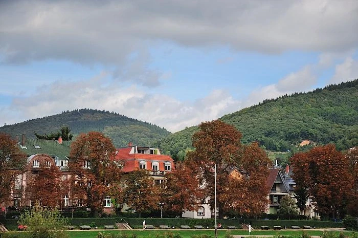 Гейдельберг