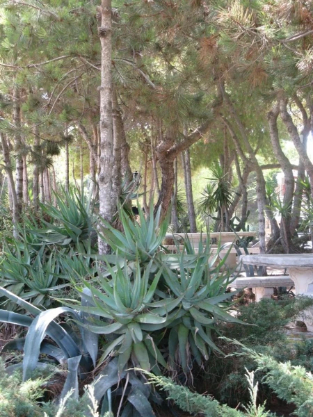 Парк на Plaka beach.