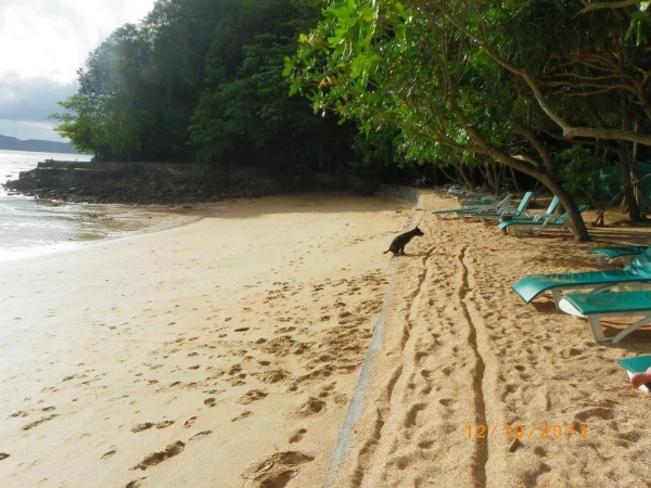 Стенка Krabi Resort
