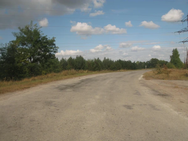 Дорога на Рыжий лес
