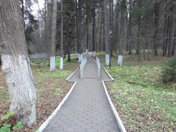 Дорога к корпусам 5-6.