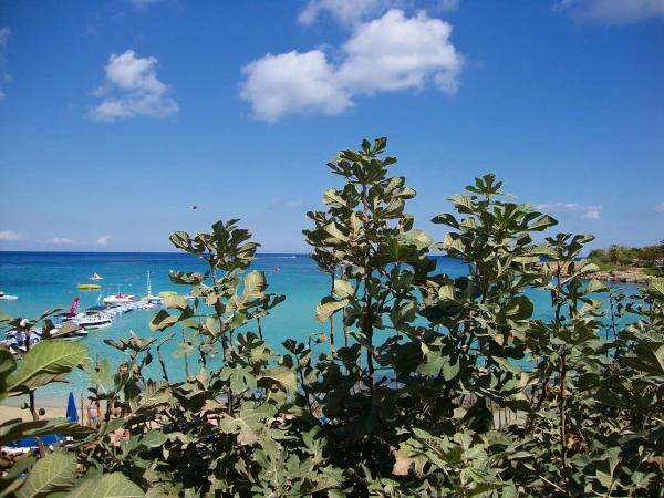 Протарас. Бухта Fig Tree Bay