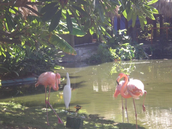 Natura Park