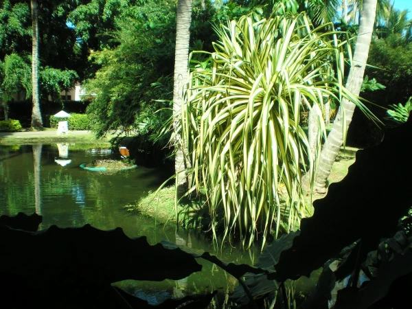 Natura Park