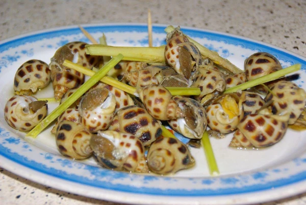 Моллюски