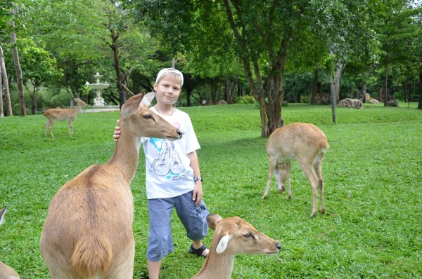 в зоопарке