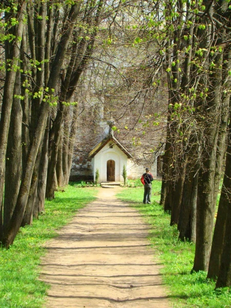 Борисоглебский монастырь.