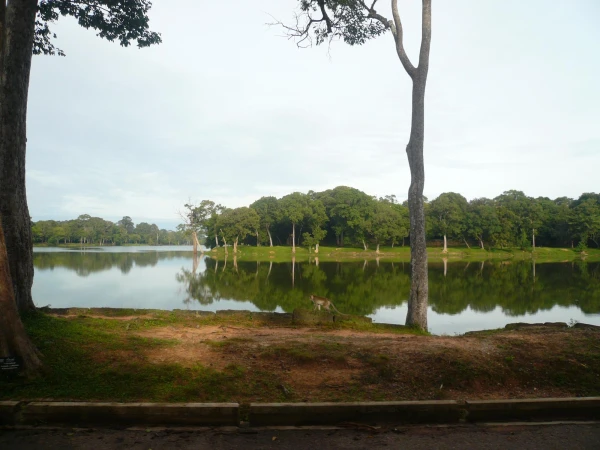 проезжаем ров вокруг Angkor Wat