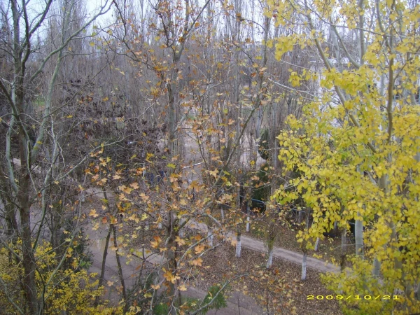 золотая осень