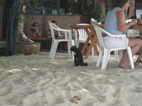 Котэ