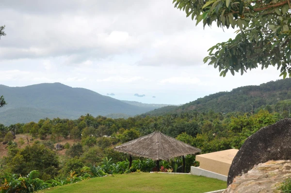 view point