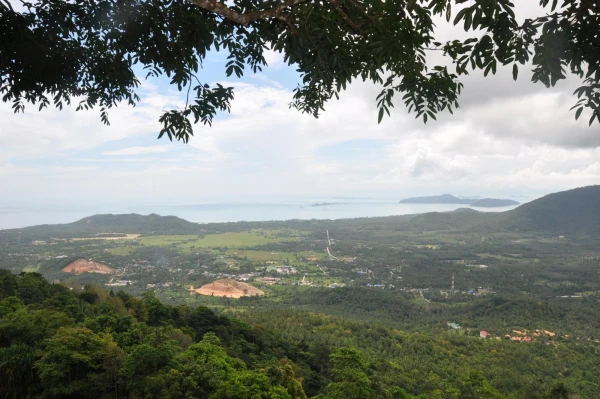 view point