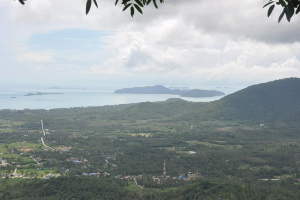 view point