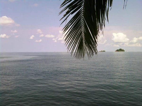 море