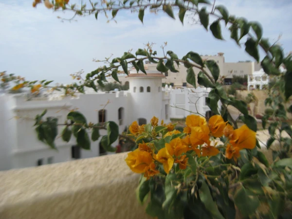 Третьий раз в отеле Continental Plaza Beach Resort (ex. Inter Plaza Beah Resort) Шарм-Эль-Шейх