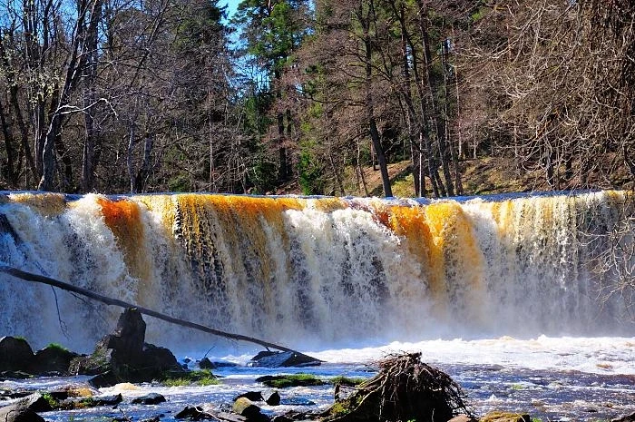 Кейла-Йоа
