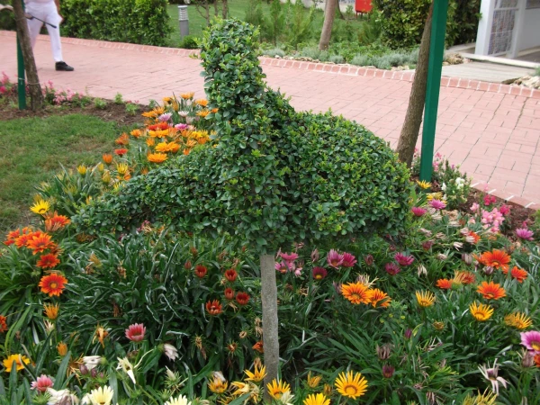 дельфинчик