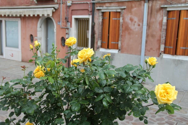 Венеция. Мурано.