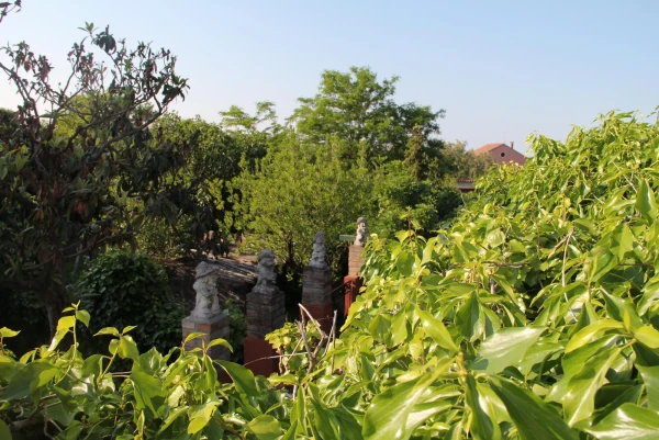 Венеция. Торчелло.