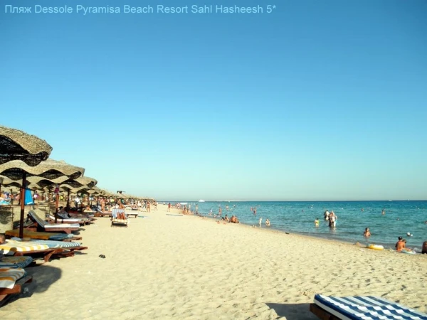 Пляж отеля Dessole Pyramisa Beach Resort Sahl Hasheesh 5*