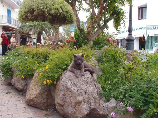 опять фотоаппаратом в морду тычут!!! ох, надоели!!!