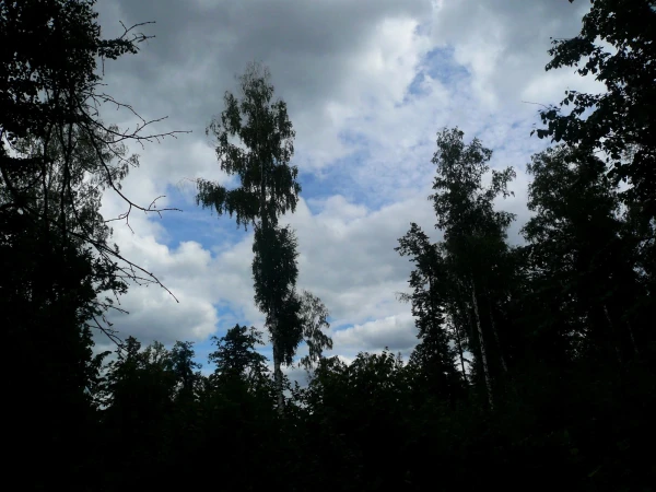 тучки наступают (