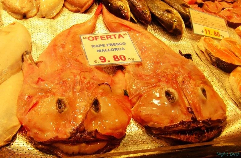 Рынок Оливар. 