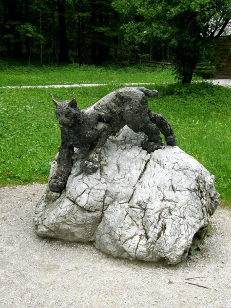 Вот такие кисы здесь живут...