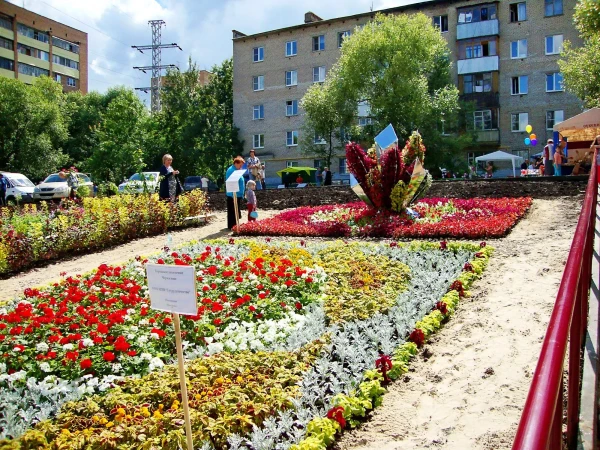 Композиция ЛЕД И ПЛАМЕНЬ (п.Черкизово)