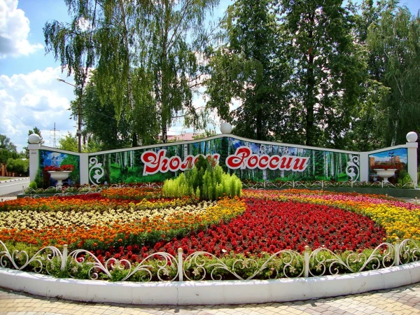 г.Пушкино, ул.Пионерская
