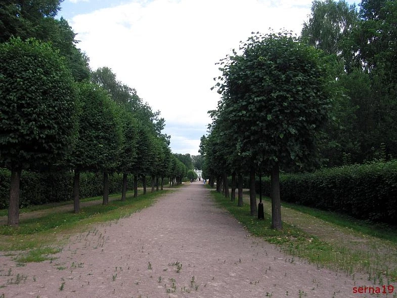 Кусково, 2007 г. 