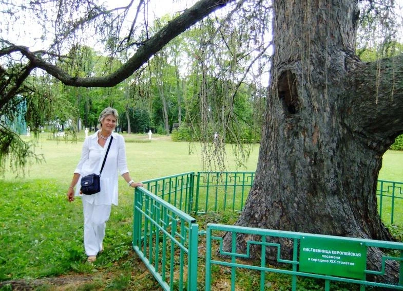 Останкино, 2012.