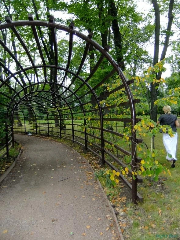 Останкино, 2012.