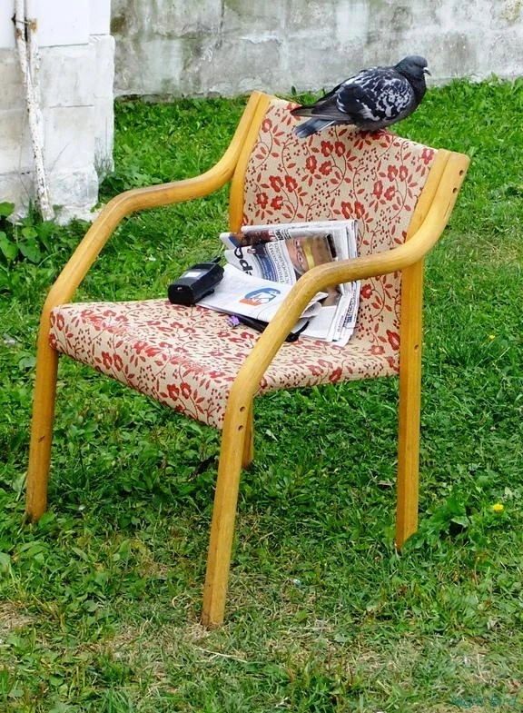 Останкино, 2012.