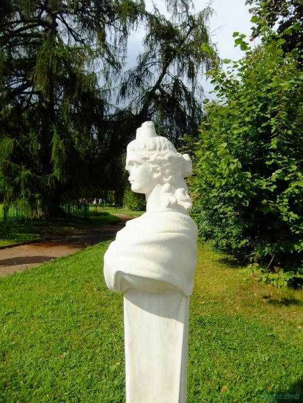 Останкино, 2012.