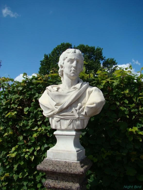Кусково, 2012. 