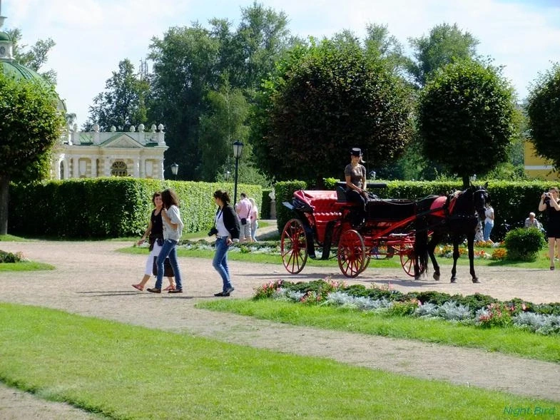 Кусково, 2012. 
