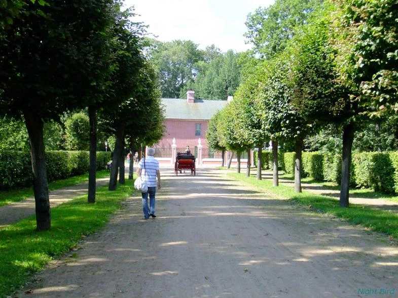 Кусково, 2012. 