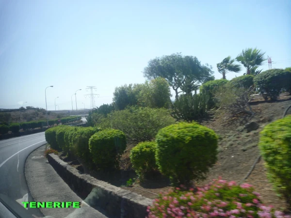 Вот они какие КАНАРСКИЕ ОСТРОВА!!! о.Тенерифе, отель SOL TENERIFE