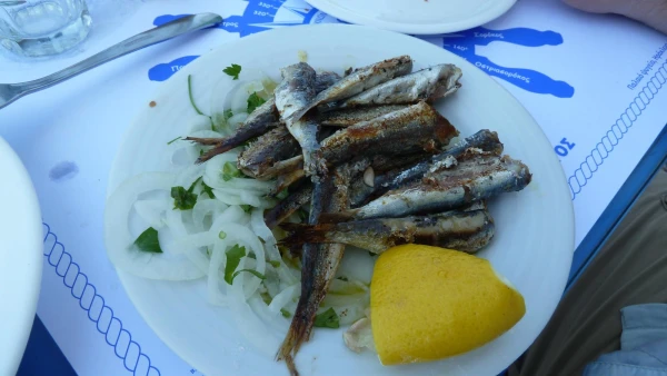 Сардины
