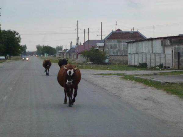 ну че, у кого первого нервы сдадут...)))