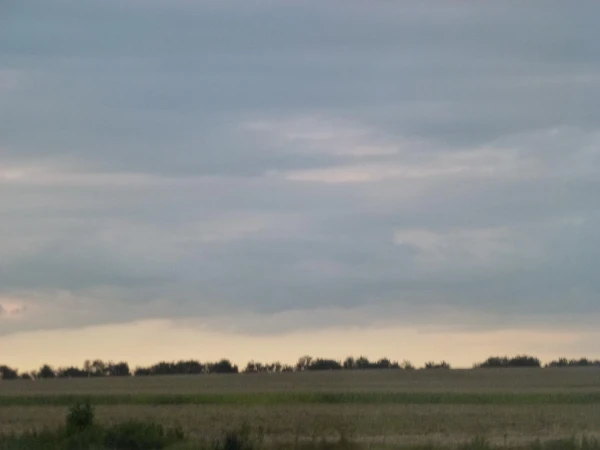 Дорога домой..