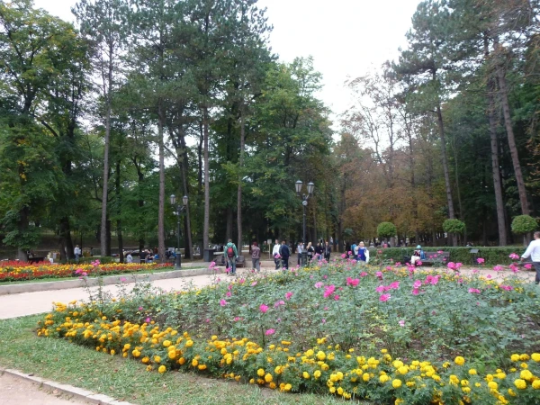 В парке.