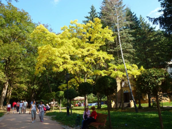 Кисловодский парк.
