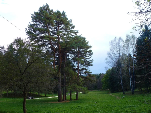 В парке.