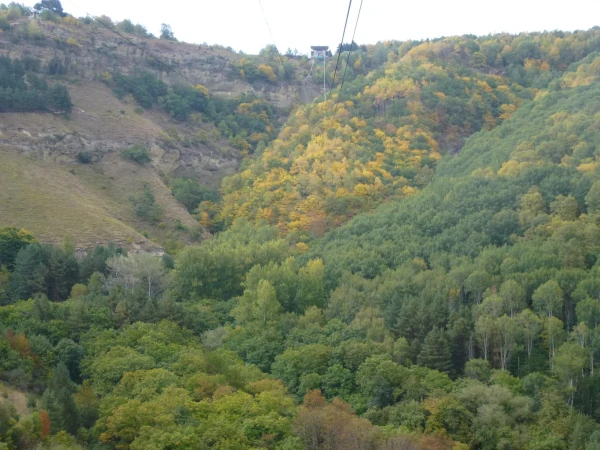 Виды с канатки.